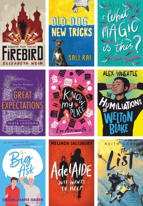 Barrington Stoke Age 12+ Dyslexia Friendly Collection | 20 Books