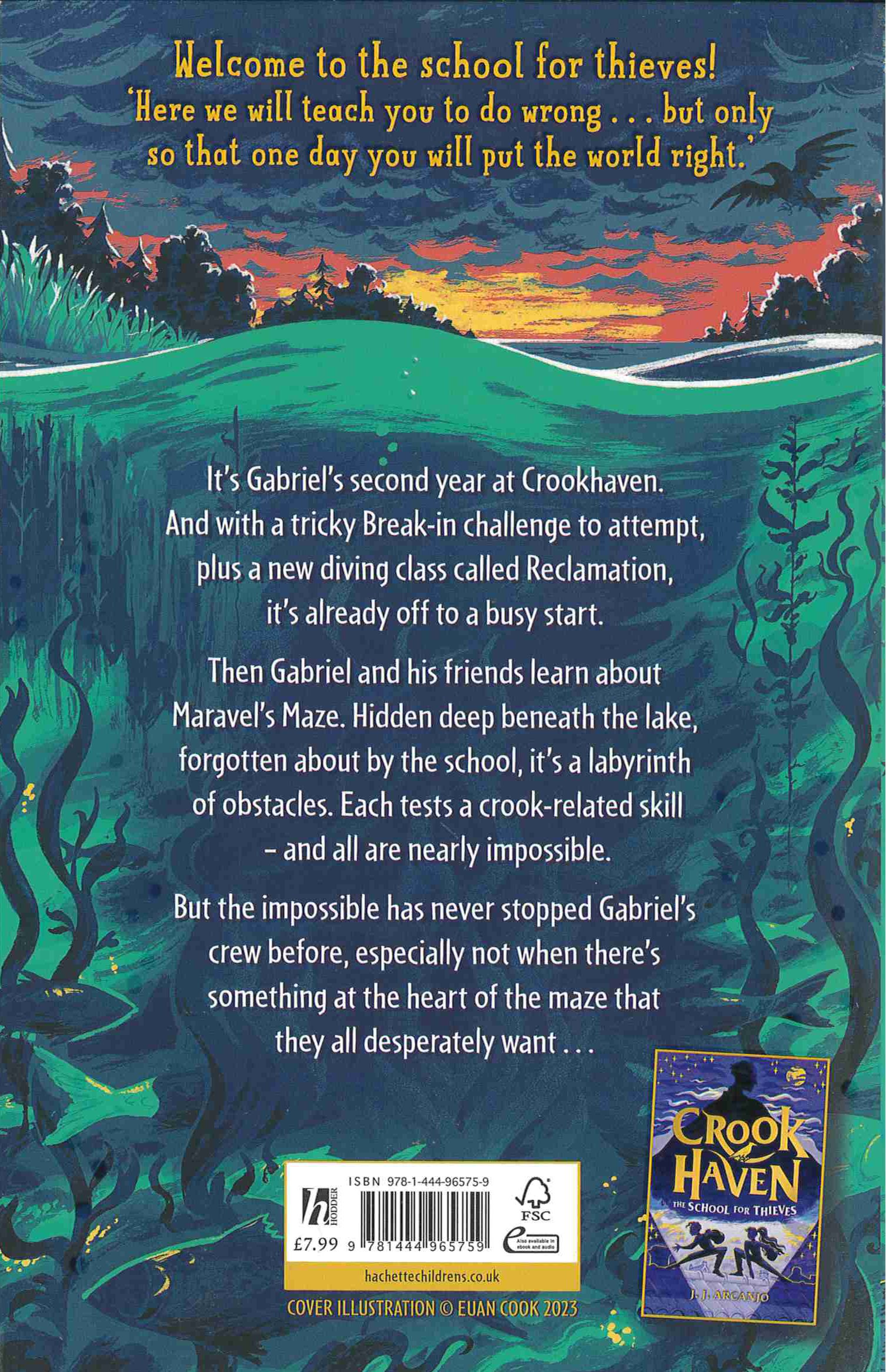 Crook Haven Forgotten Maze back cover