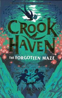 The Forgotten maze front cover