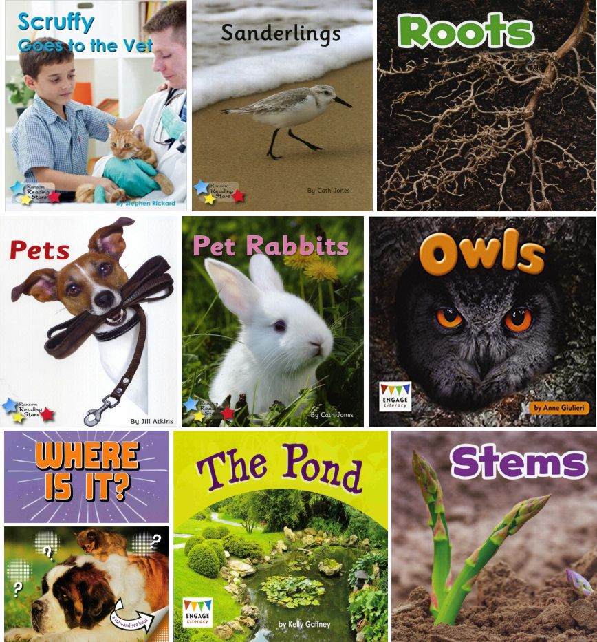 AR Lower Years 0.9 - 1.9 Collection Non Fiction | 21 Books