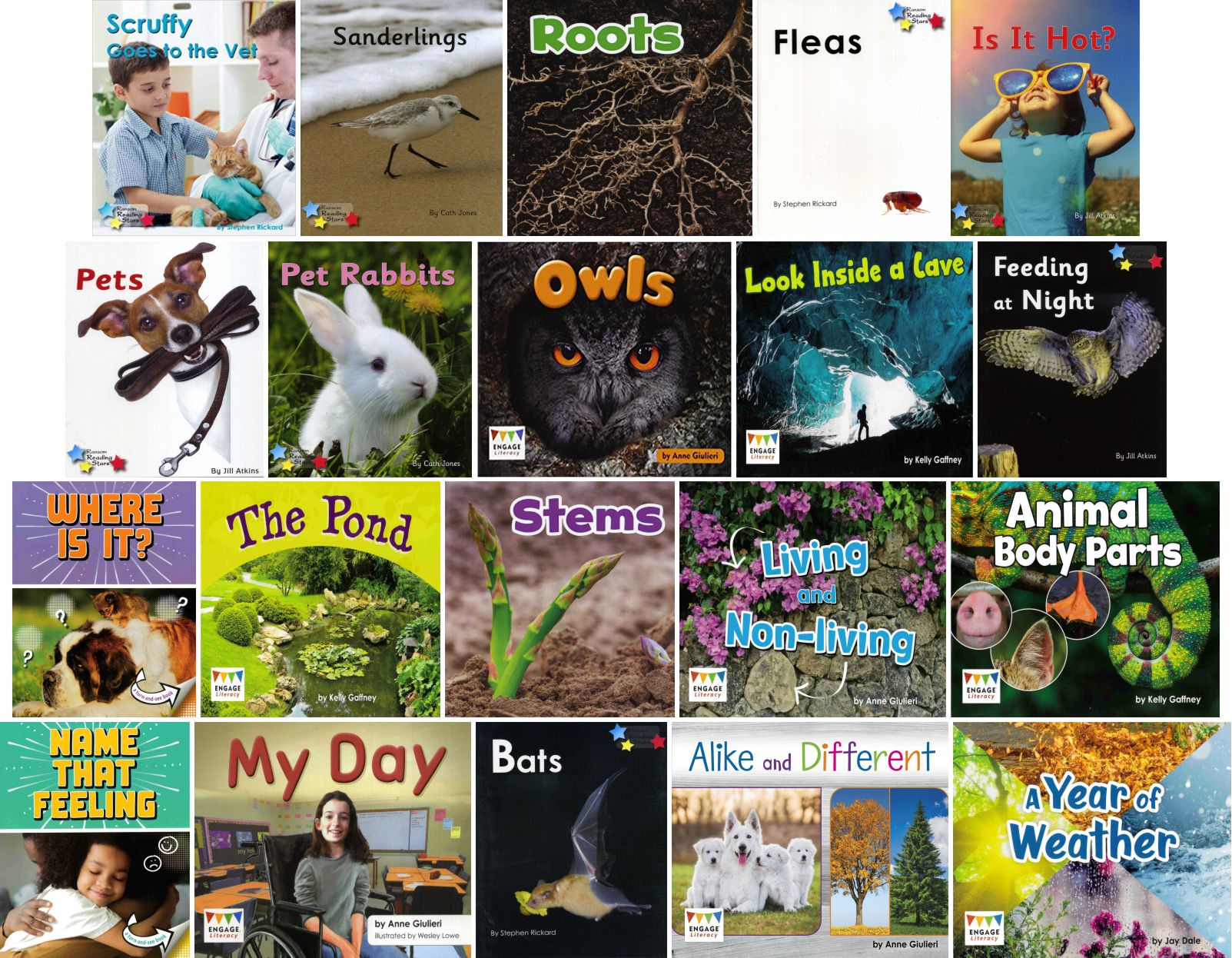 AR Lower Years 0.9 - 1.9 Collection Non Fiction | 21 Books - Image 2