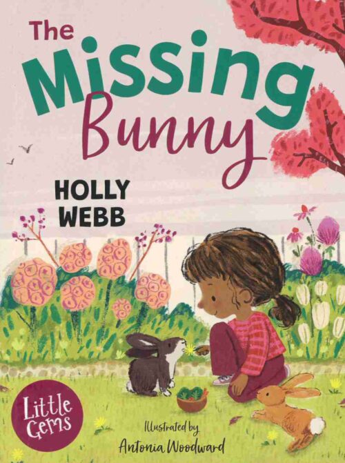 The Missing Bunny