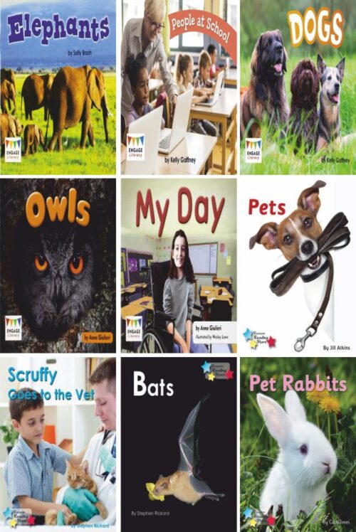 Year 1 Reading For Pleasure Non Fiction Collection | 14 Books