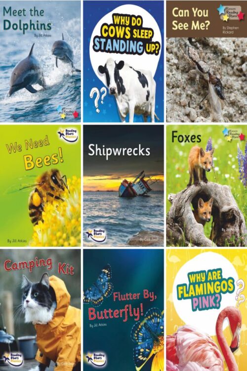 Year 2 Reading For Pleasure Non Fiction Collection | 18 Books