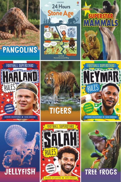 Year 3 Reading For Pleasure Non Fiction Collection | 17 Books