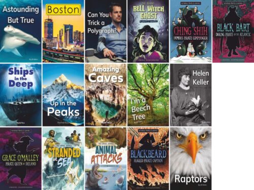 AR Middle Years 2.4 - 2.9 Non Fiction Collection | 16 Books - Image 2