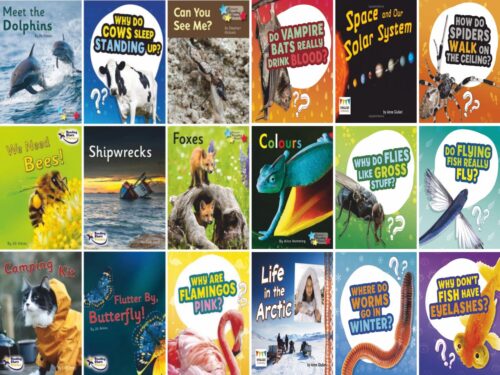 Year 2 Reading For Pleasure Non Fiction Collection | 18 Books - Image 2