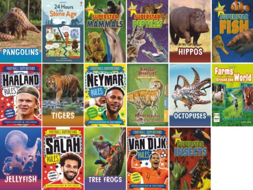 Year 3 Reading For Pleasure Non Fiction Collection | 17 Books - Image 2