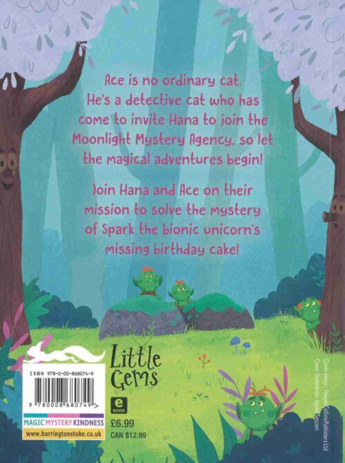 Birthday Cake Thief back cover