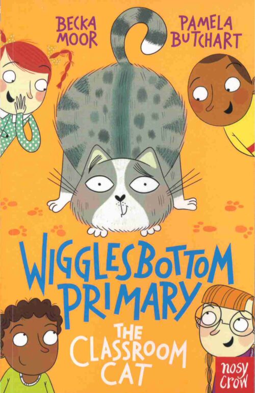 The classroom cat front cover