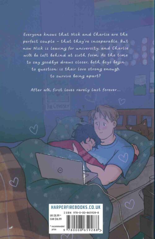 Nick And Charlie back cover