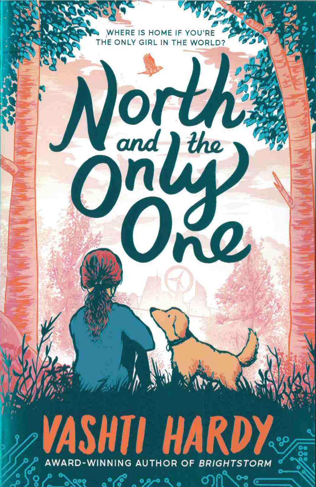 North And The Only One front cover