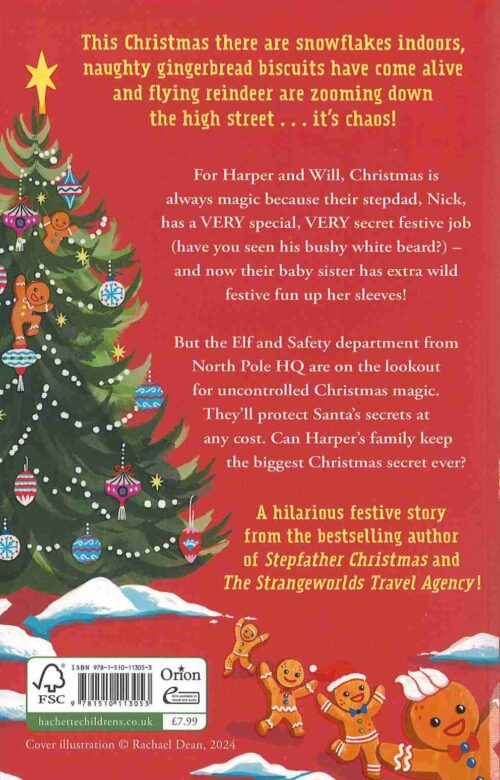 Biggest Christmas Secret Ever back cover