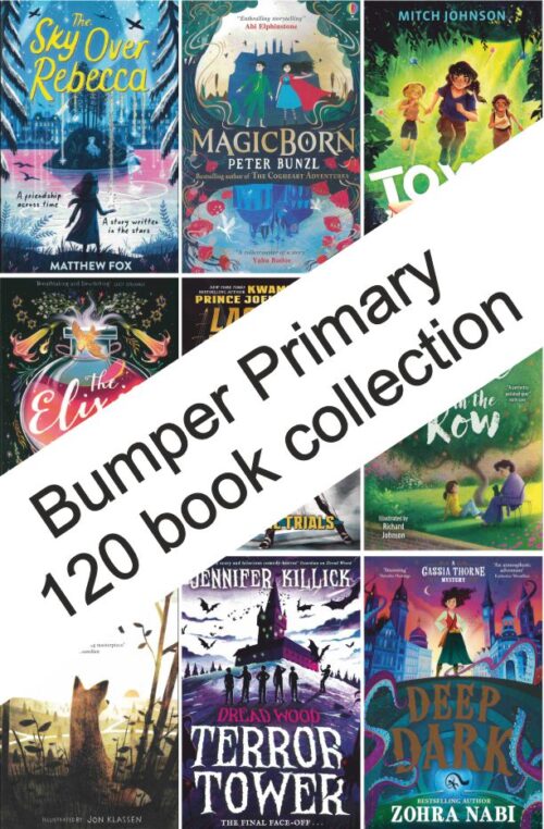 Bumper Primary Year Group Collection | 120 Books