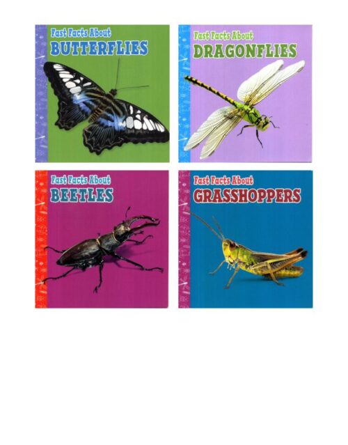 Fast Facts About Insects Collection | 4 Books