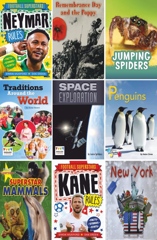 AR Lower Years 4.0+ Non Fiction Collection | 20 Books