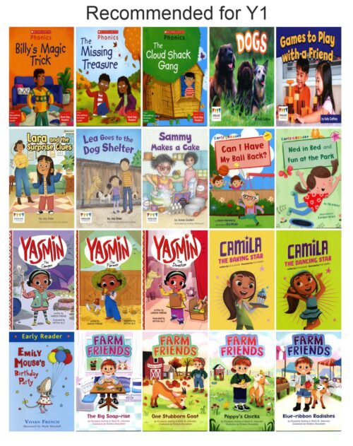 Bumper Primary Year Group Collection | 120 Books - Image 2