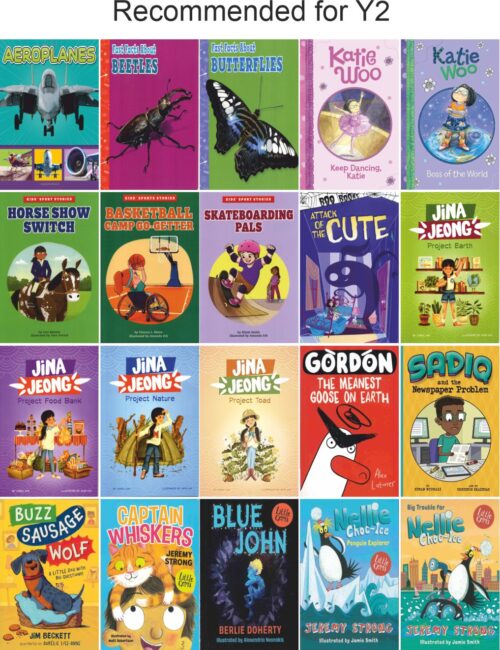 Bumper Primary Year Group Collection | 120 Books - Image 3