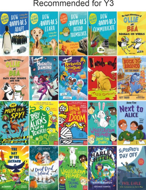 Bumper Primary Year Group Collection | 120 Books - Image 4