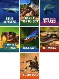 Pebble Explore Animals Collection | 7 Books