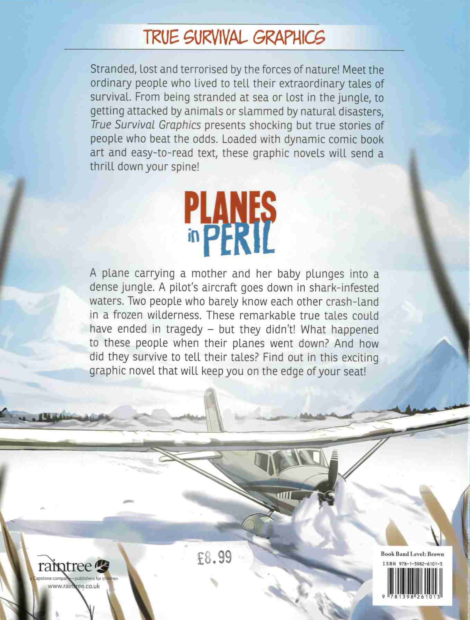 Planes In Peril back cover