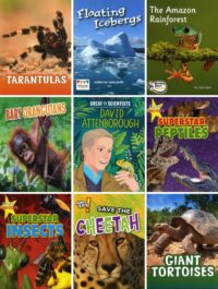 Natural World Collection (Lower Years) | 25 Books
