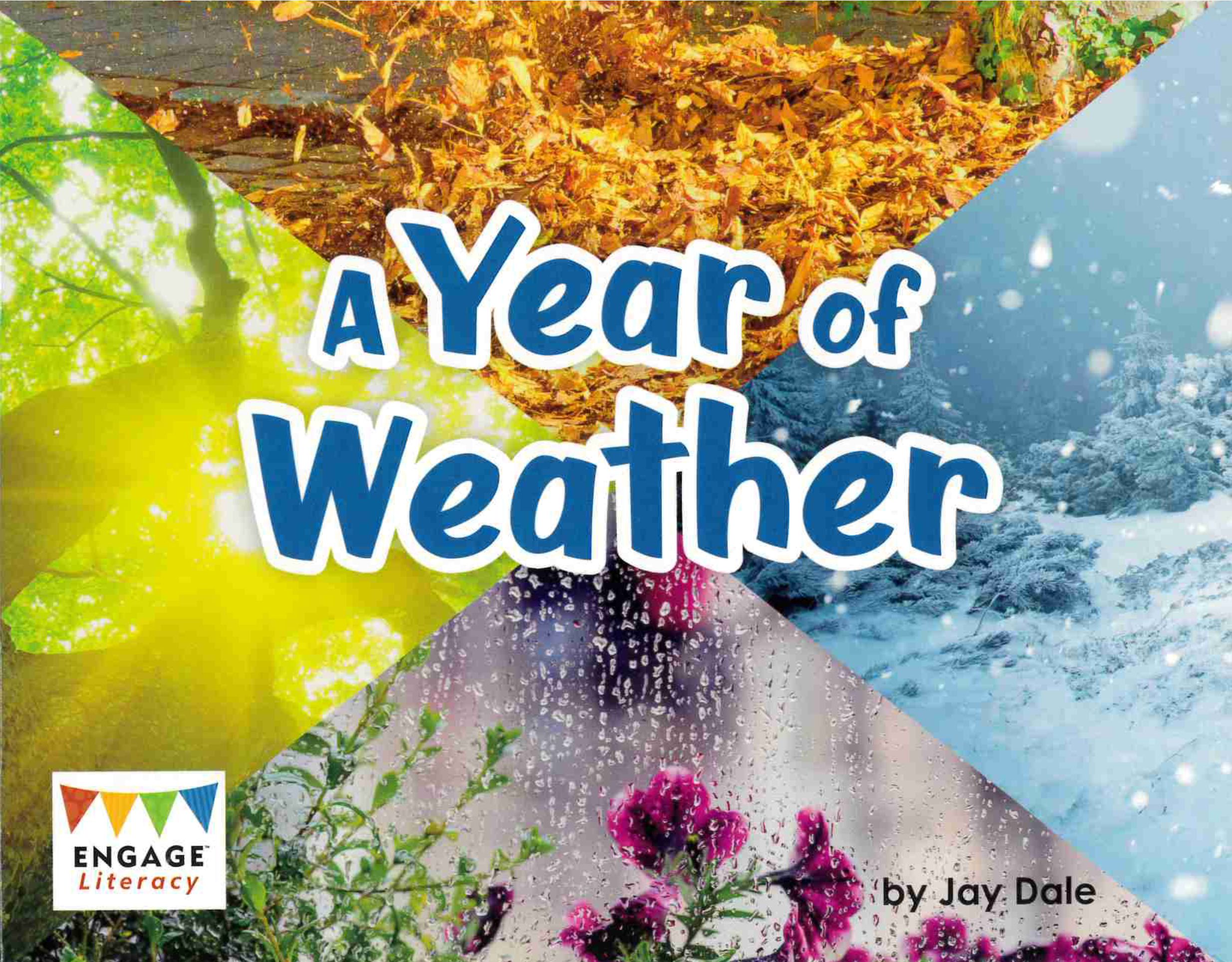 A Year of Weather