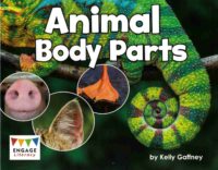 Animal Body Parts