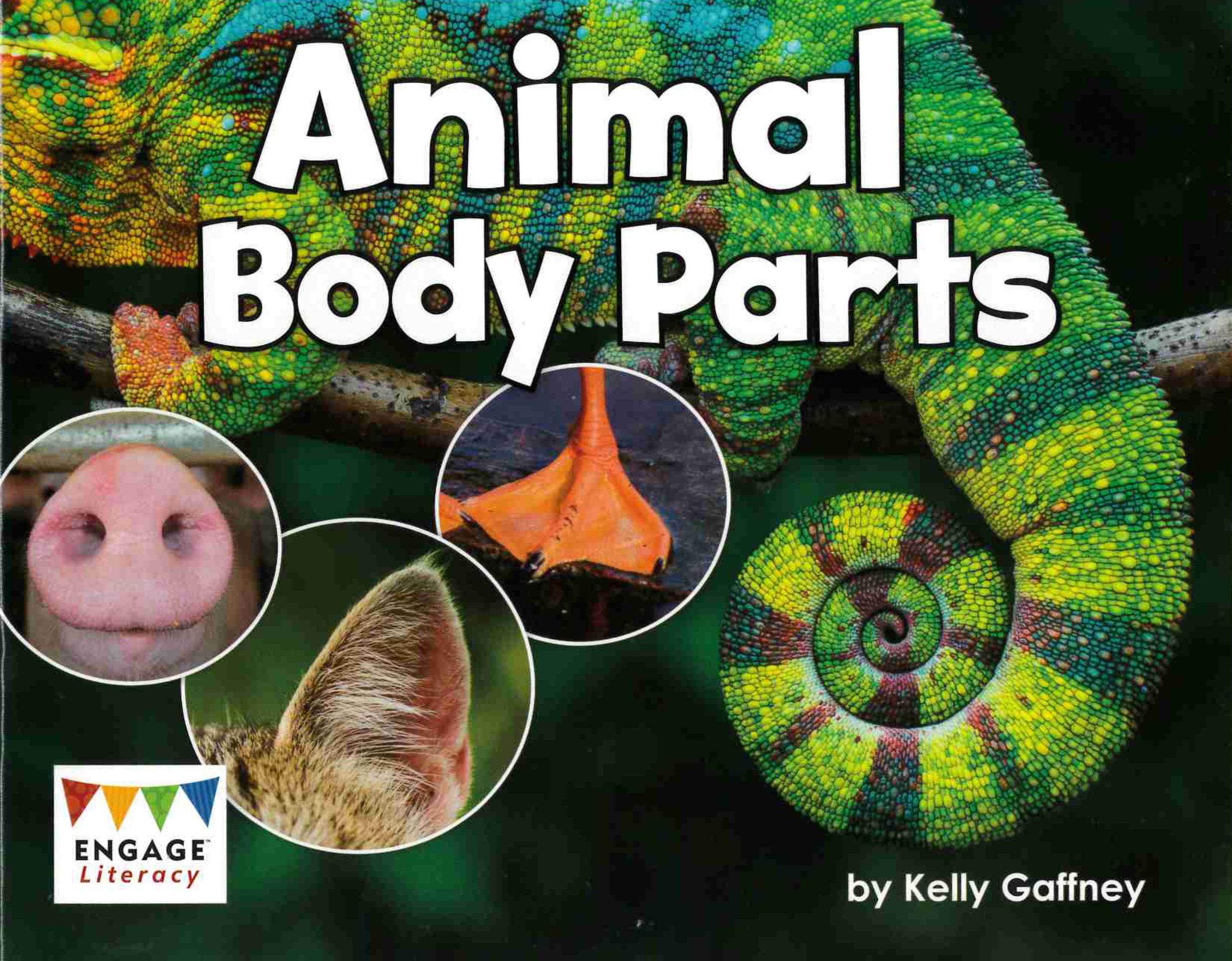 Animal Body Parts