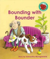 Bouncing with Bounder