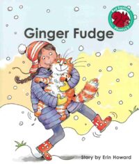 Ginger Fudge