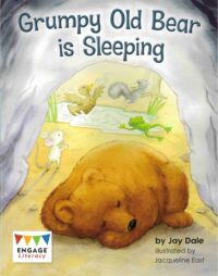 Grumpy Old Bear is Sleeping