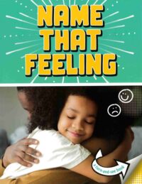 Name that Feeling: A Turn-and-See Book