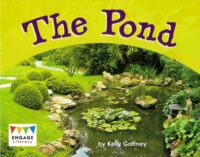 The Pond