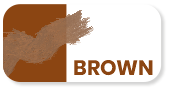 Book Bands: 12 Brown