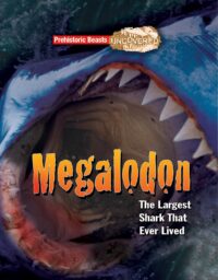 Megalodon: Prehistoric Beasts Uncovered