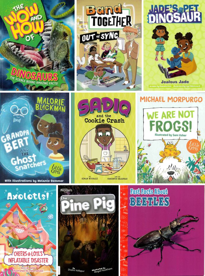 White Book Band Collection | 22 Books