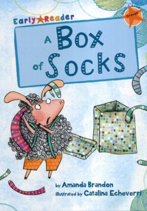 A Box Of Socks