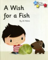 A Wish For A Fish