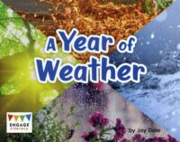 A Year Of Weather