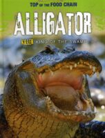 Alligator - Killer King Of The Swamp