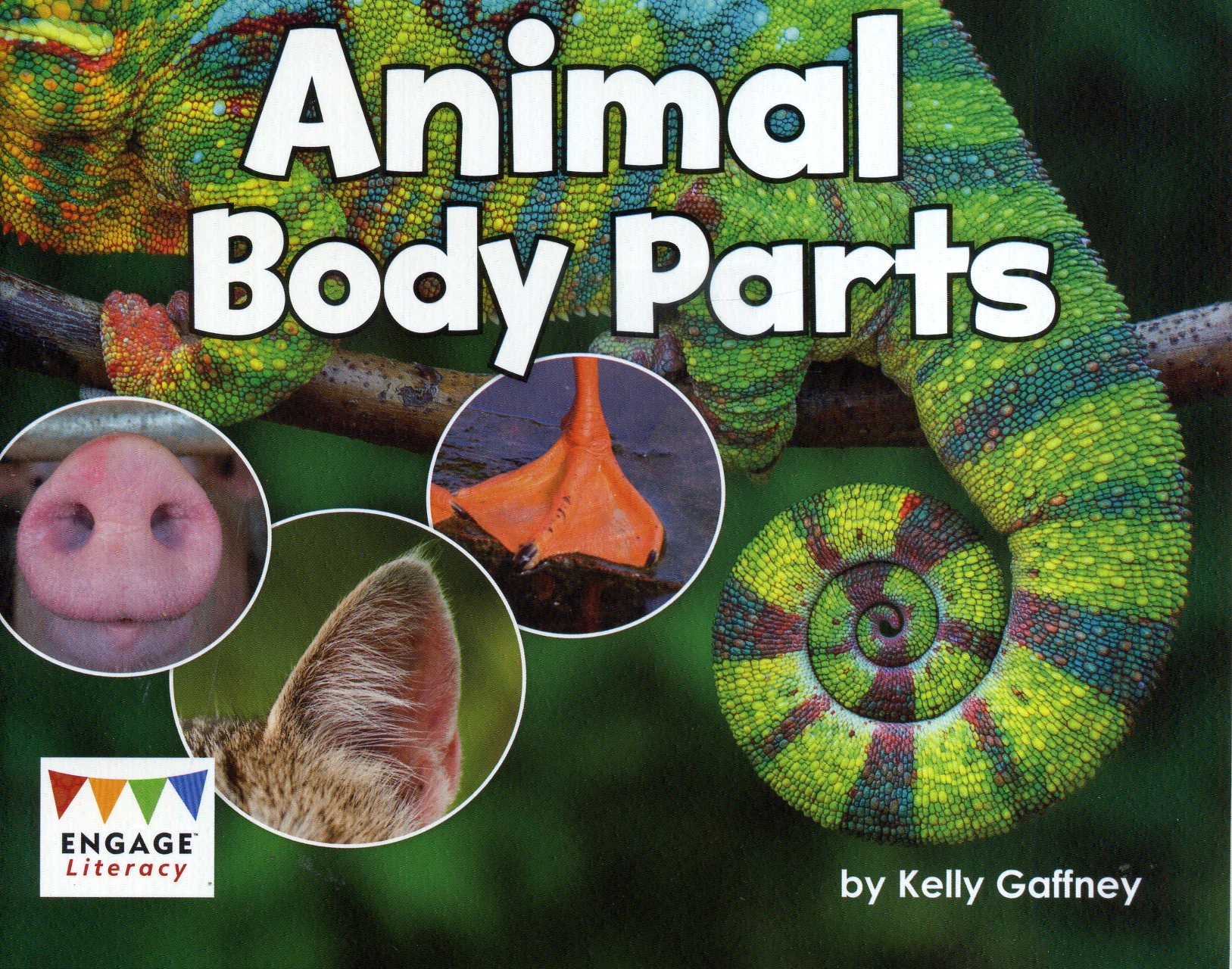 Animal Body Parts | 9781474783958 - Laburnum House Educational