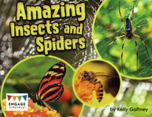Amazing Insects and Spiders