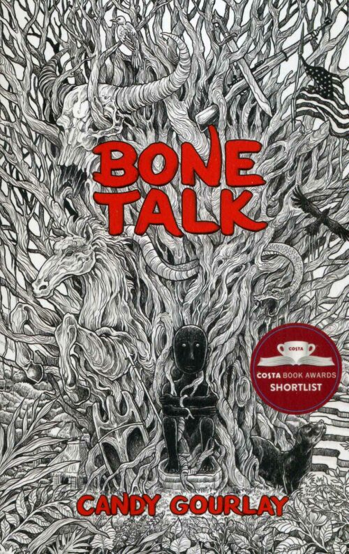 Bone Talk ****Shortlisted for the CILIP Carnegie Medal 2019****