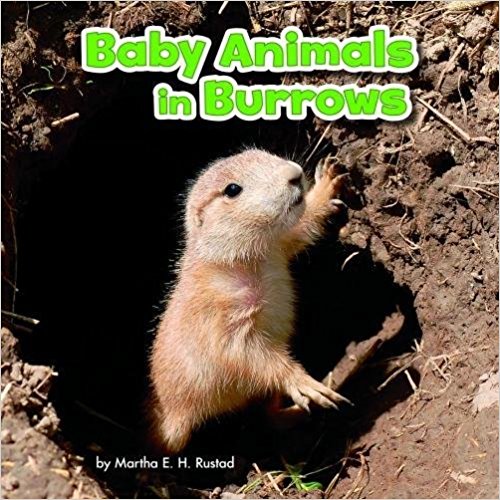 Baby Animals in Burrows