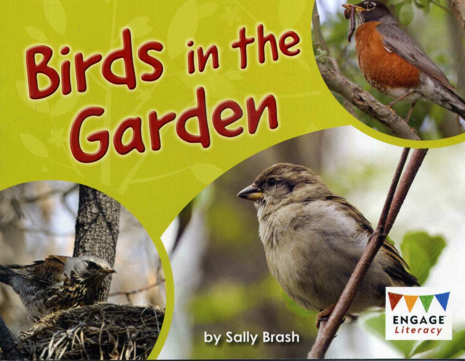 birds-in-the-garden-9781474772273-laburnum-house-educational