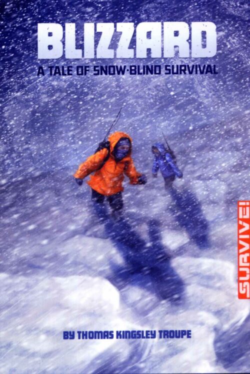 Blizzard: A Tale of Snow-blind Survival