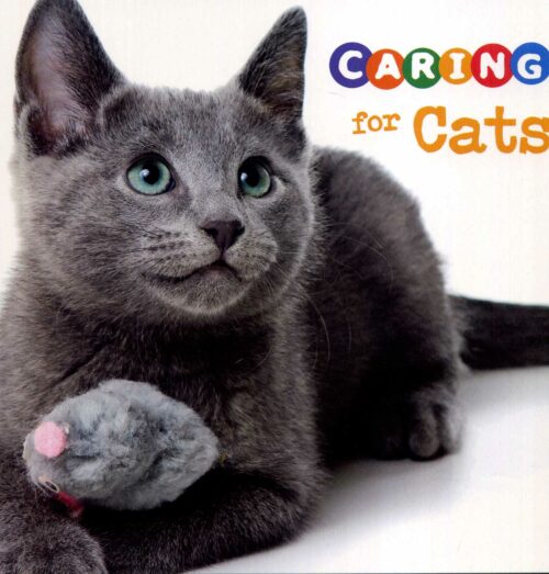 Caring for Cats