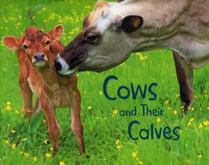 Cows and their Calves