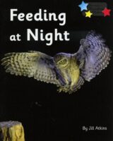 Feeding At Night